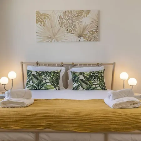 Dq De Loule 44 Lissabon